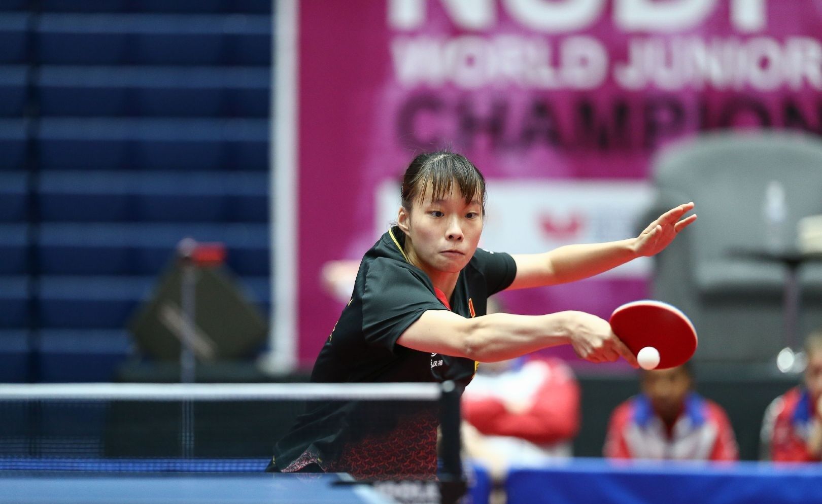 第一阵容是 第一阵容是