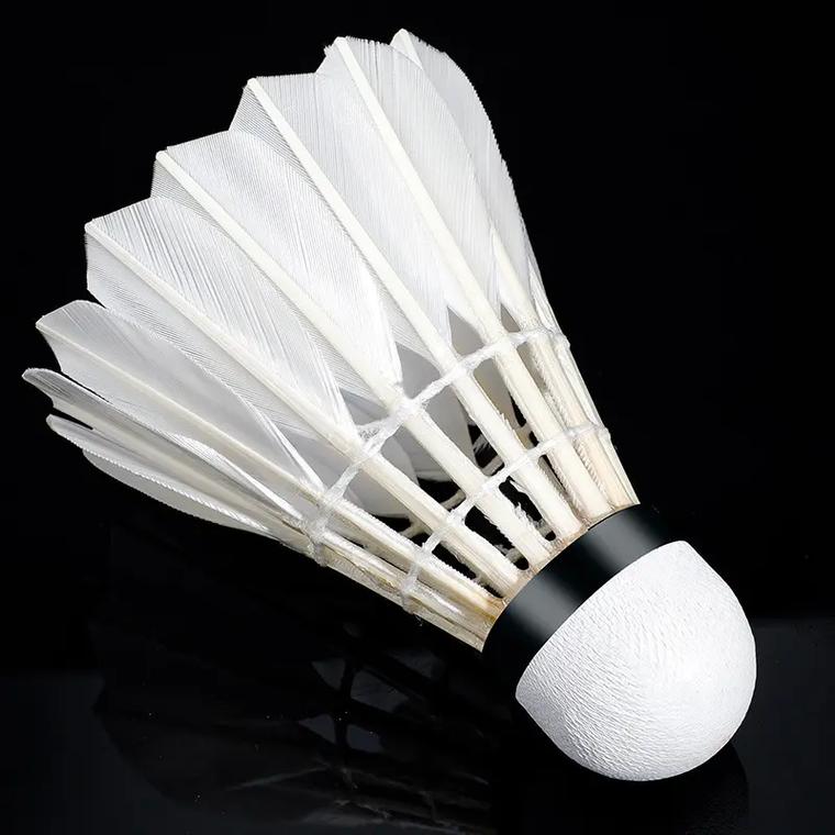 悠久的高卢 悠久的高卢